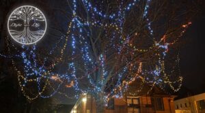 The Mary Stevens Hospice Tree of Light lit up at night time