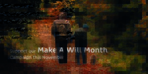 Make a Will Month Nov 2023 website hero